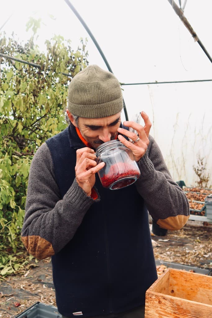 Full feature - från 20 000kr