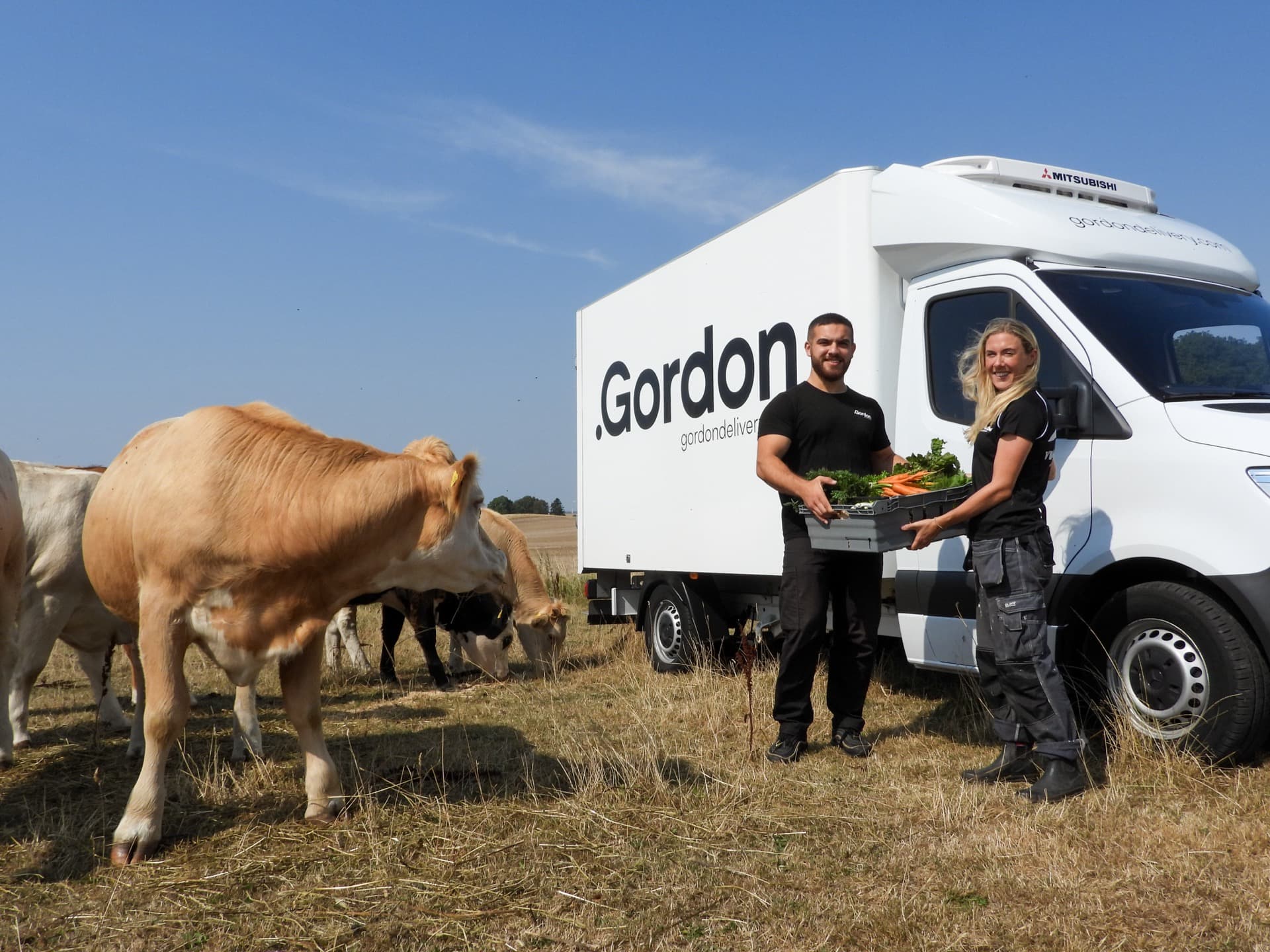 Uppstart, transport och komission