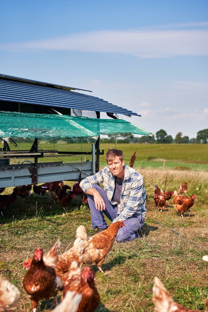 Producent med höns